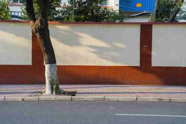 探花视频app频道任务规则更新｜高频短片内容重构挑战难度再提升