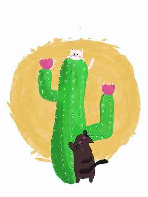 暗网匿名机制评估｜反追踪技巧测评站点反馈复杂化