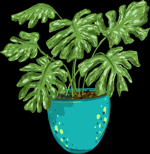 好色先生TV用户反馈专题｜绅士视角日常片段引起共鸣共情