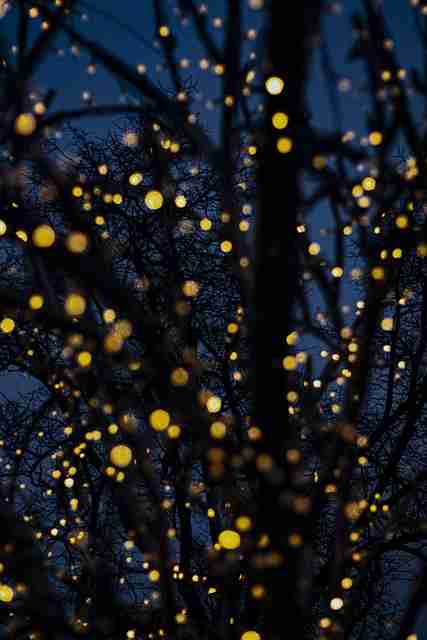 暗网禁地智能追踪程序拦截实测｜内容标签隐藏算法路径模糊再升级