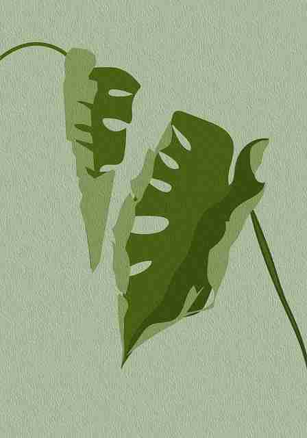 探花视频app动态互动结构重组｜沉浸式剧情演练报告模式全面焕新