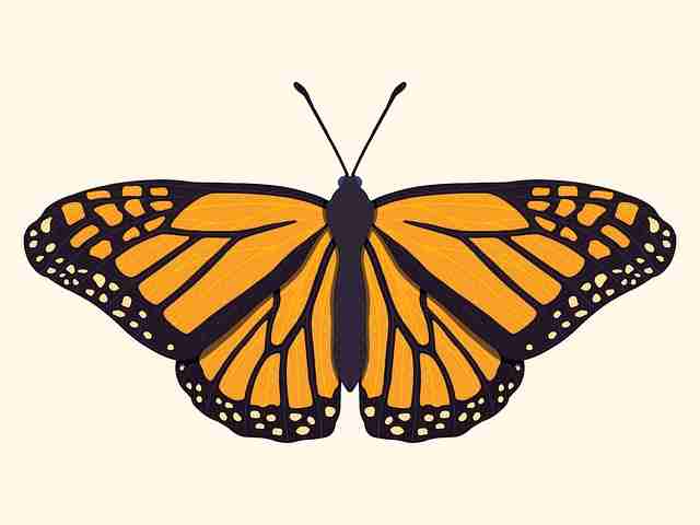 好色先生tv风格革新专题｜亲密关系互动诠释新绅士审美