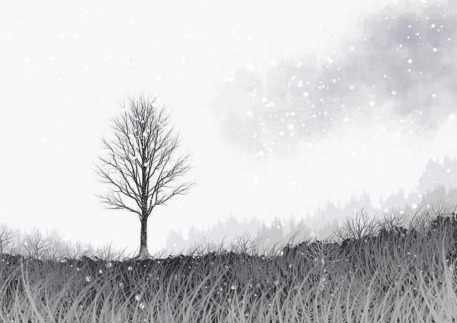 暗网禁地站内行为数据分析报告｜访问入口生成机制解构呈现碎片化趋势