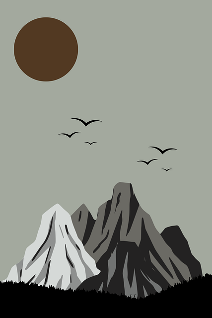 蘑菇影视在线观看年度播放报告发布｜影片上新机制分析观看习惯洞察